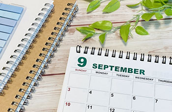 Flexible Rental Periods from One Month