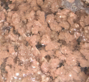 Reduce Costs by Using the Right Polymer for Your Sludge